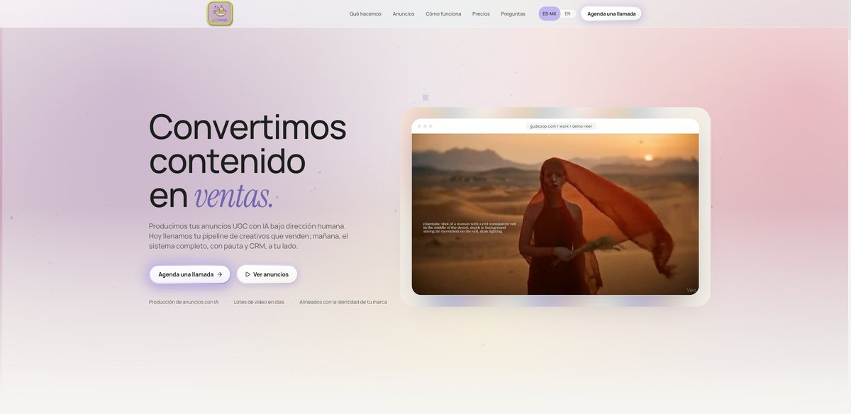 Gudsoop: captura del sitio